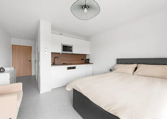 Apartamento Perle - Centre - Albi