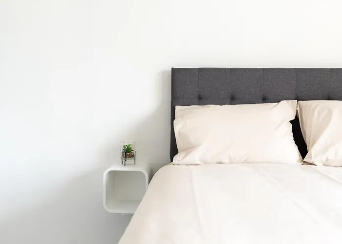 Perle - Centre - * Albi